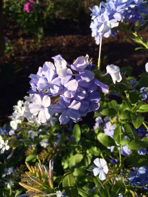 Don’t be That&nbsp;Guy