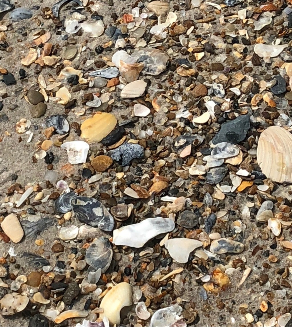 Capturing the Moment