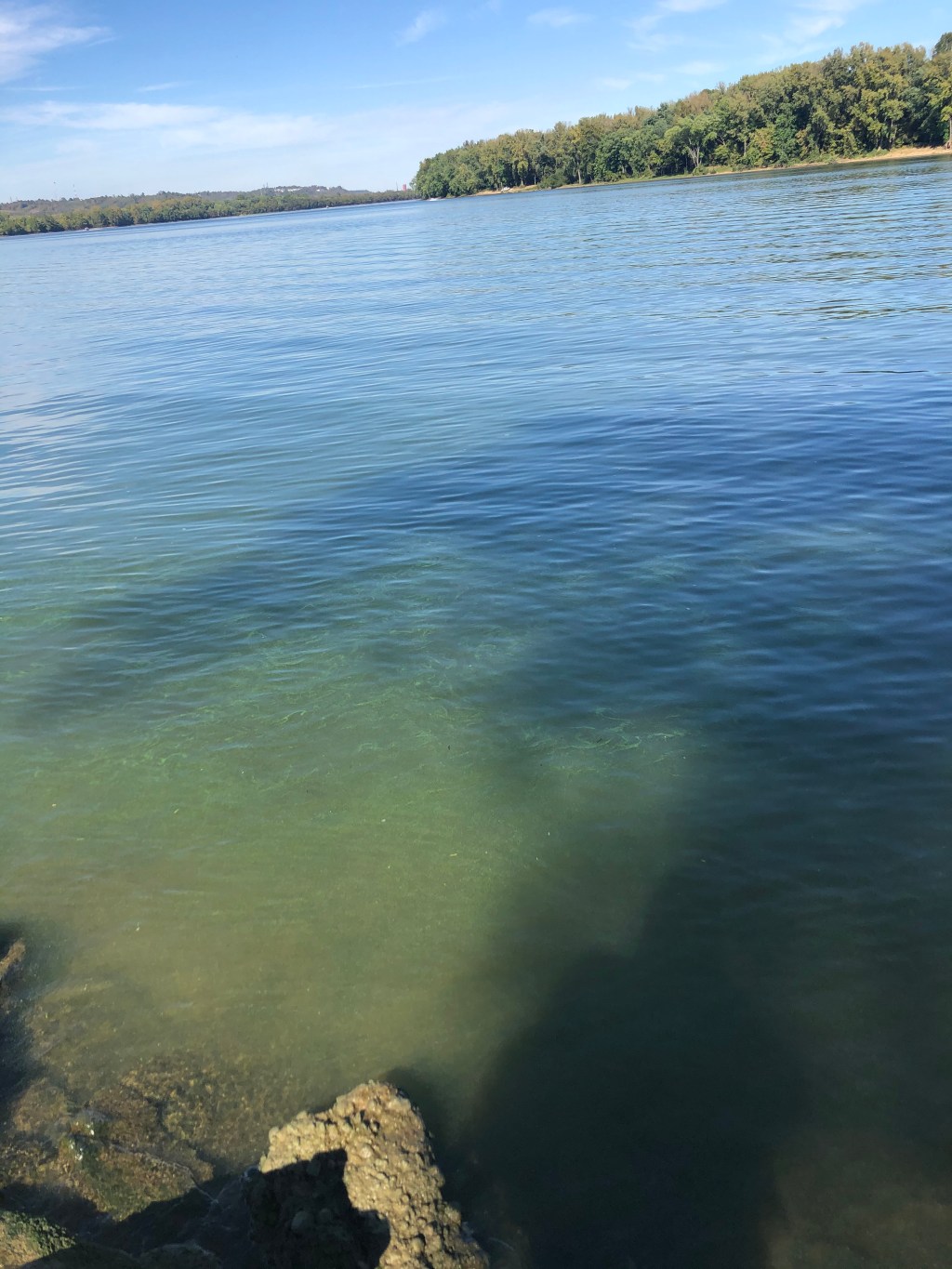 The Book Was&nbsp;Better